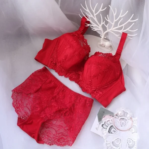 Embroidered Lace Push-Up Bra Set with Panties – Sizes B to H